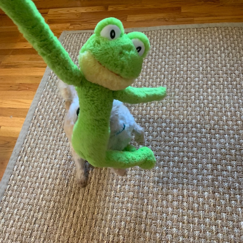 Meet your Posher, Lennie